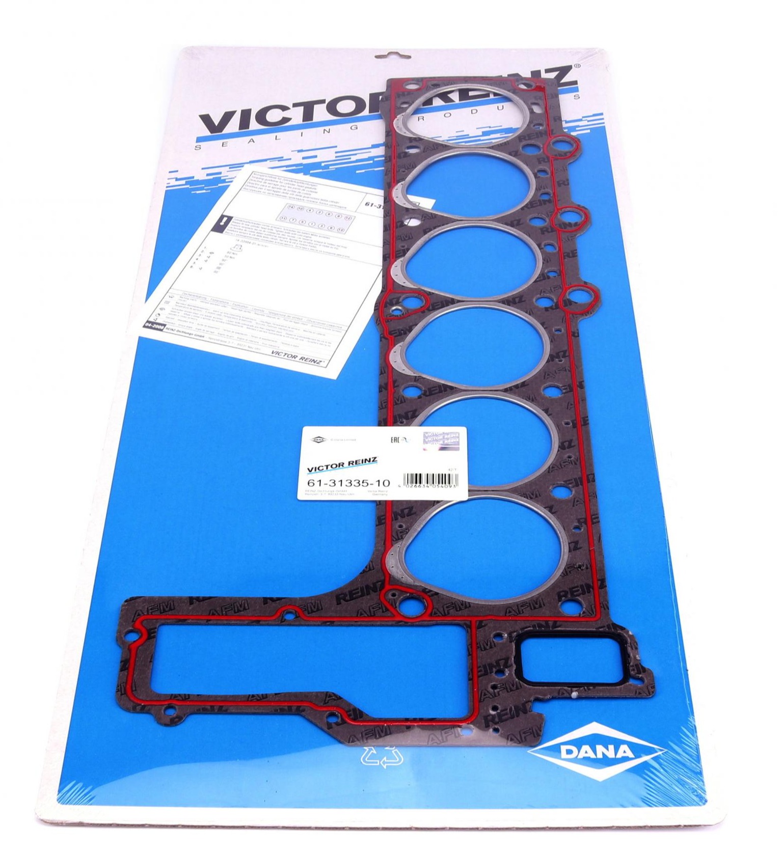 613133510 VICTOR REINZ
